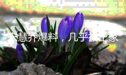 宋慧喬爆料，幾乎被王家衛(wèi)綁三年，深度解讀背后的故事