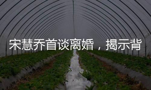 宋慧喬首談離婚，揭示背后故事與情感轉(zhuǎn)折