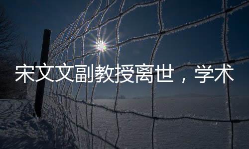 宋文文副教授離世，學(xué)術(shù)界的巨大損失