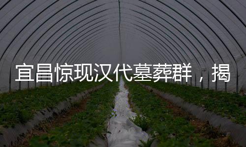 宜昌驚現(xiàn)漢代墓葬群，揭示千年文明的瑰寶