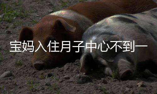 寶媽入住月子中心不到一天投湖輕生背后的故事與反思