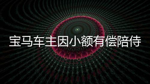寶馬車主因小額有償陪侍被舉報事件曝光