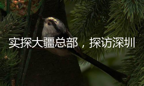 實(shí)探大疆總部，探訪深圳科技創(chuàng)新的心臟地帶——夜幕下的忙碌場(chǎng)景令人驚嘆