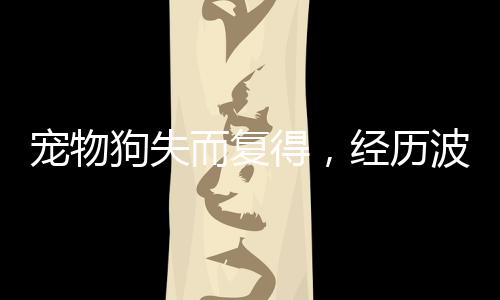 寵物狗失而復(fù)得，經(jīng)歷波折終團(tuán)圓，洗澡驅(qū)蟲盡顯關(guān)愛
