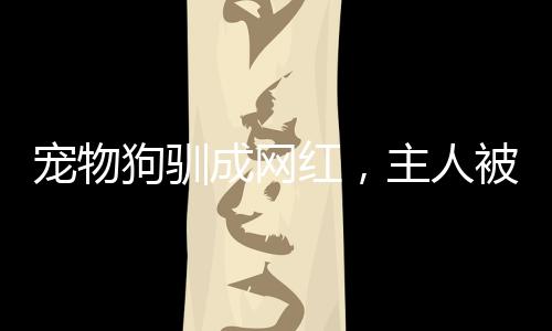 寵物狗馴成網(wǎng)紅，主人被迫簽天價(jià)合同