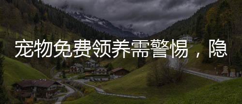 寵物免費(fèi)領(lǐng)養(yǎng)需警惕，隱藏的陷阱與風(fēng)險揭示