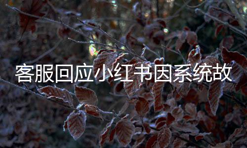 客服回應(yīng)小紅書因系統(tǒng)故障短暫崩潰，一二三認(rèn)清情況，四五六解析原因，七八九展望未來(lái)，十提醒用戶
