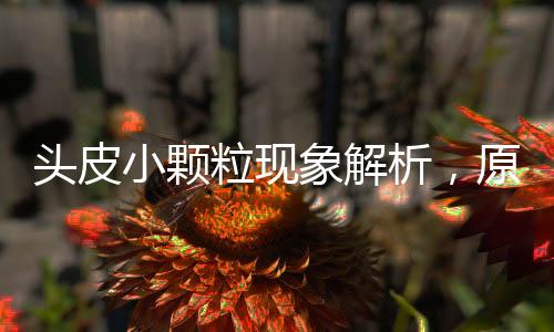 頭皮小顆粒現(xiàn)象解析，原因、影響與應對之道