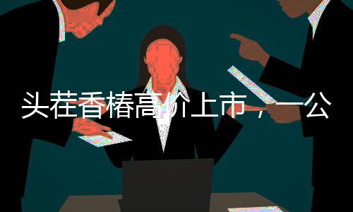 頭茬香椿高價(jià)上市，一公斤240元搶鮮嘗鮮