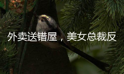 外賣送錯屋，美女總裁反鎖房門