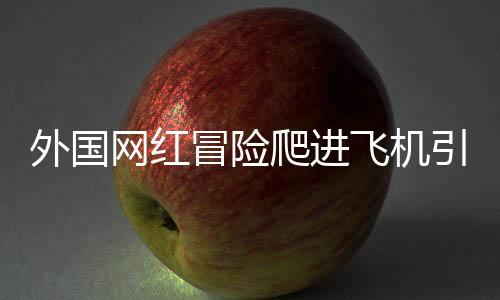 外國網(wǎng)紅冒險爬進飛機引擎拍攝短視頻，引發(fā)關(guān)注和警示