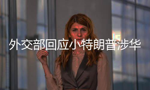 外交部回應(yīng)小特朗普涉華言論，堅定維護國家利益與全球秩序