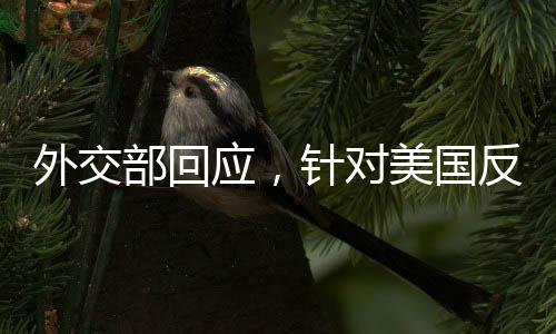 外交部回應(yīng)，針對(duì)美國反制措施的堅(jiān)定立場(chǎng)與應(yīng)對(duì)策略