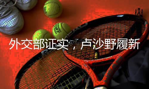 外交部證實，盧沙野履新職務(wù)，展現(xiàn)中國外交新氣象