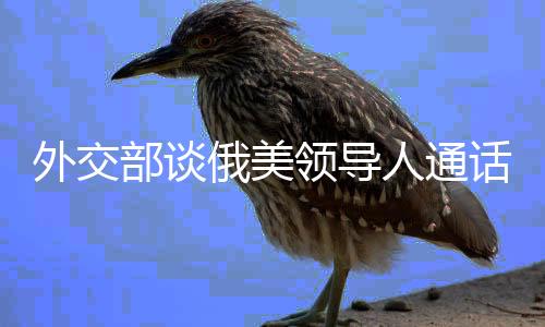 外交部談俄美領(lǐng)導(dǎo)人通話，全球視角下的戰(zhàn)略溝通