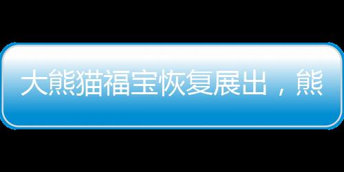 大熊貓福寶恢復展出，熊貓迷們的盛大節(jié)日
