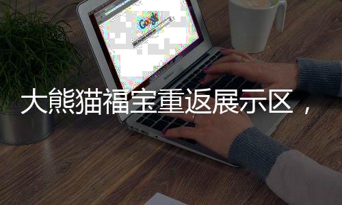 大熊貓福寶重返展示區(qū)，萌態(tài)展現迎來新篇章
