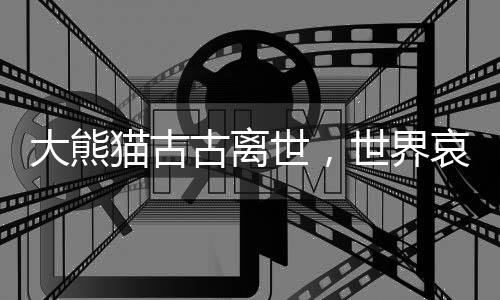 大熊貓古古離世，世界哀悼一顆璀璨星辰的隕落