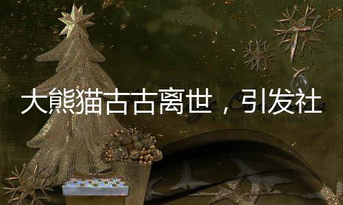 大熊貓古古離世，引發(fā)社會(huì)廣泛哀悼