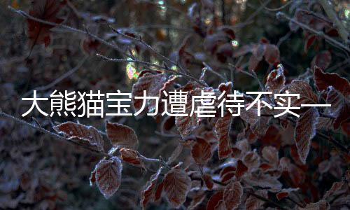 大熊貓寶力遭虐待不實(shí)——澄清與解析