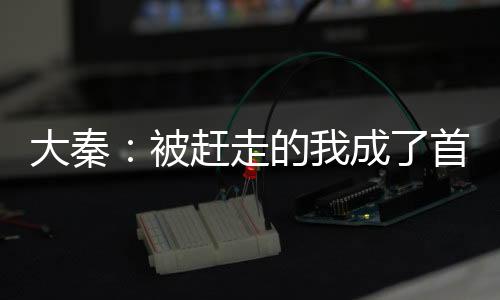 大秦：被趕走的我成了首富