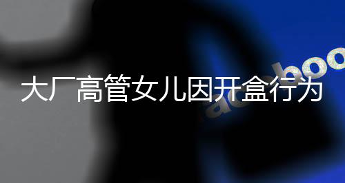大廠高管女兒因開盒行為引發(fā)關(guān)注事件新聞分析文章標(biāo)題