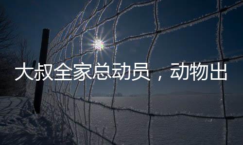 大叔全家總動員，動物出擊，共抓老鼠大作戰(zhàn)