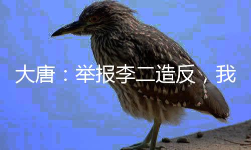 大唐：舉報李二造反，我當上皇帝