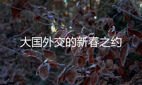 大國外交的新春之約