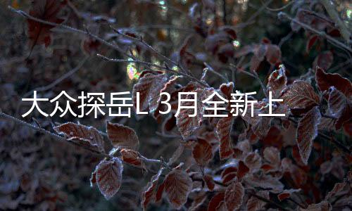 大眾探岳L 3月全新上市，一款引人注目的車型正式亮相，細節(jié)一探究竟