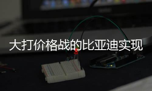 大打價(jià)格戰(zhàn)的比亞迪實(shí)現(xiàn)凈賺400億元，戰(zhàn)略調(diào)整與技術(shù)創(chuàng)新鑄就成功之道