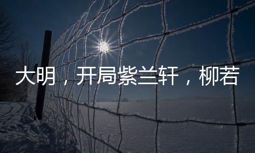 大明，開局紫蘭軒，柳若馨當花魁