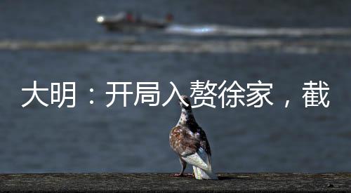 大明：開局入贅徐家，截胡徐妙云