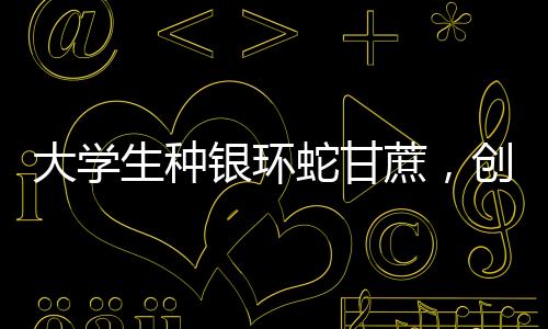 大學(xué)生種銀環(huán)蛇甘蔗，創(chuàng)新農(nóng)業(yè)與生態(tài)保護(hù)結(jié)合的新篇章
