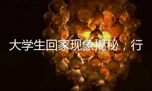 大學(xué)生回家現(xiàn)象揭秘，行李箱變衣柜，反映家庭與社會變遷的微觀故事