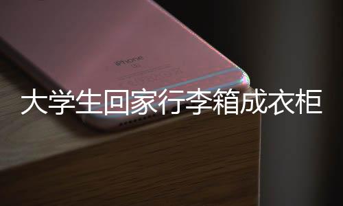 大學(xué)生回家行李箱成衣柜，行李背后的故事與反思