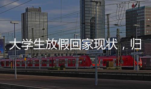 大學(xué)生放假回家現(xiàn)狀，歸途百態(tài)與社會心理的鏡像映射