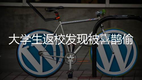 大學(xué)生返校發(fā)現(xiàn)被喜鵲偷家了