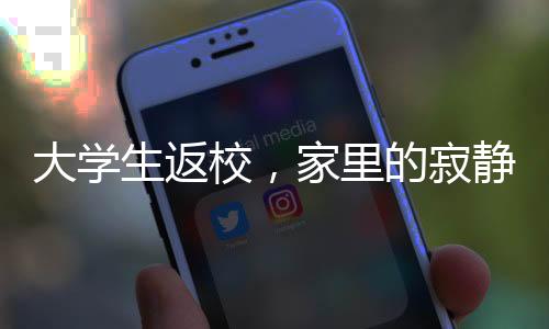 大學(xué)生返校，家里的寂靜與承重墻的寓意