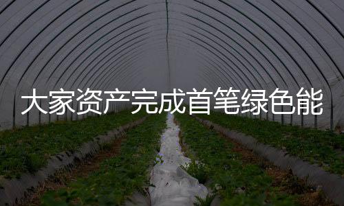 大家資產(chǎn)完成首筆綠色能源直接投資