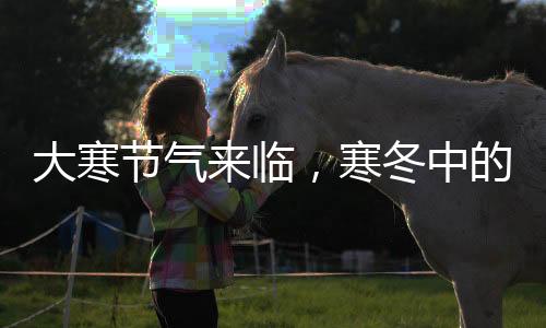 大寒節(jié)氣來(lái)臨，寒冬中的溫暖與習(xí)俗傳承