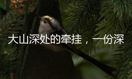 大山深處的牽掛，一份深深的眷戀與堅守