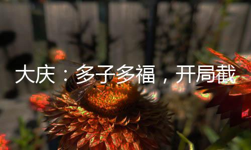 大慶：多子多福，開局截胡范若若