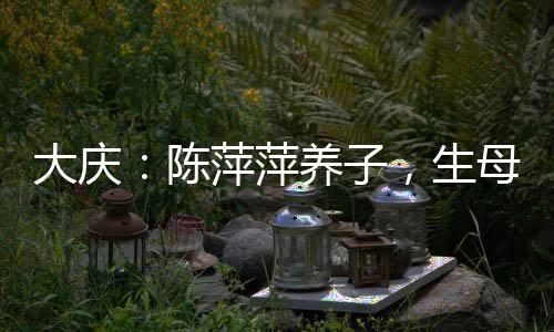 大慶：陳萍萍養(yǎng)子，生母葉輕眉