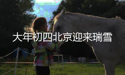 大年初四北京迎來瑞雪