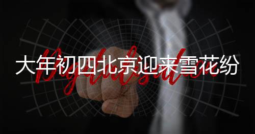 大年初四北京迎來雪花紛飛，銀裝素裹盡顯京城風采