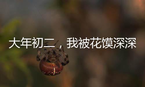 大年初二，我被花饃深深吸引