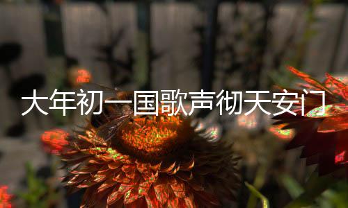 大年初一國歌聲徹天安門廣場，喜慶與莊嚴的交融