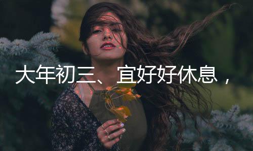 大年初三、宜好好休息，迎接新的一年