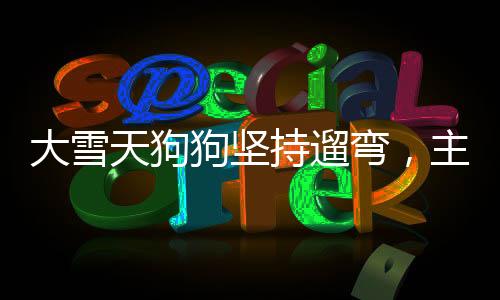 大雪天狗狗堅持遛彎，主人無奈被拽，盡顯深厚寵緣